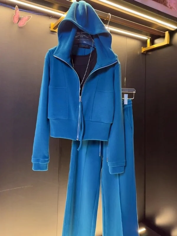 

Женский осенне-зимний комплект Faion, кардиган на молнии, толстовка с капюшоном, прямые брюки, костюм из двух предметов, повседневный Sle Qui Dry, средней толщины...