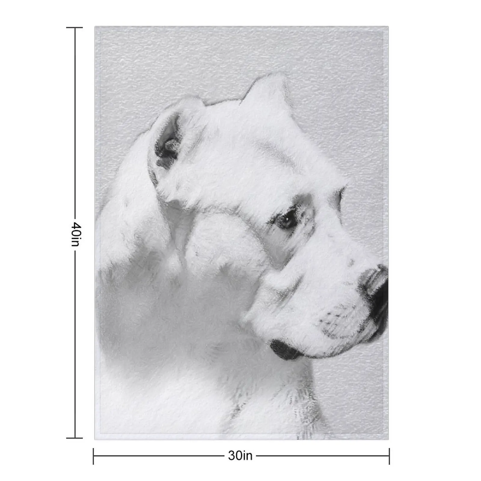 Dogo Argentino Throw Blanket Designers Bed Multi-Purpose Soft Plush Plaid Giant Sofa Sofa Quilt Blankets