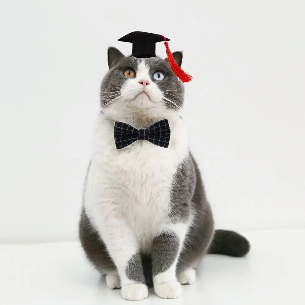 Felt Cat Graduation Cap Pet Accessories Adjustable With Tassel Dog Dr. Hat Elastic Dog Degree Hat Cosplay Party