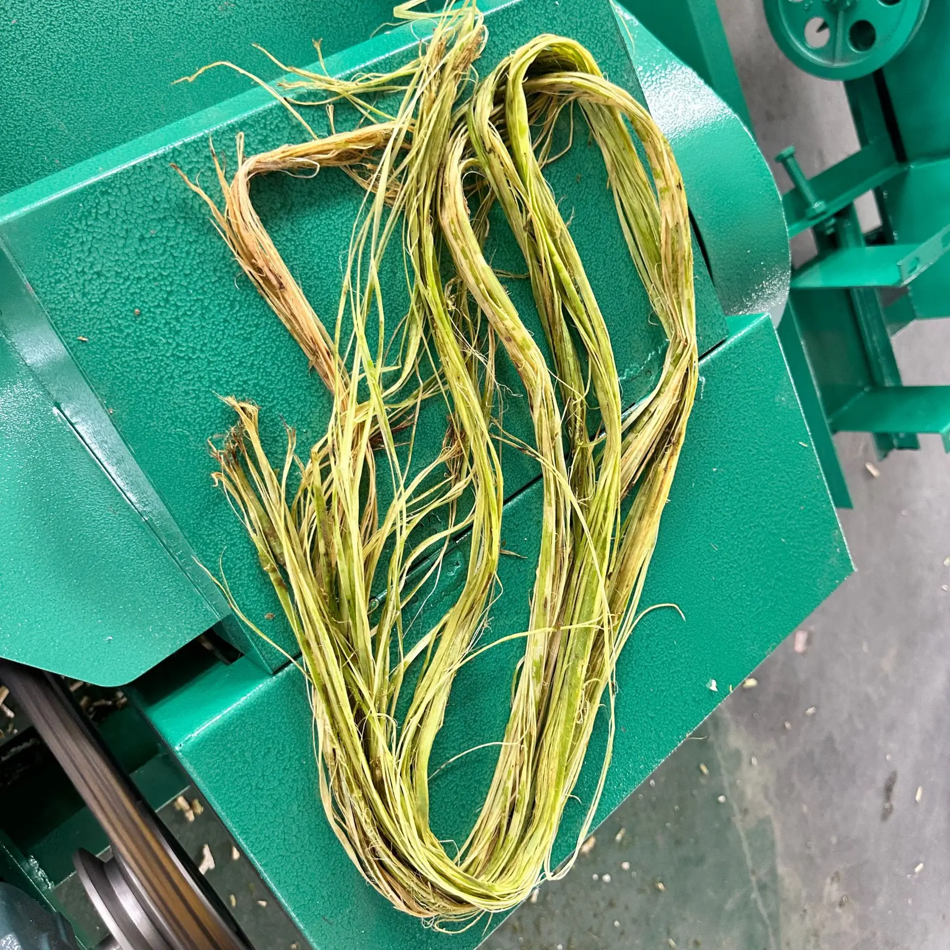 Hennepmachine, vezelextractor, schraapmachine, hennepmachine