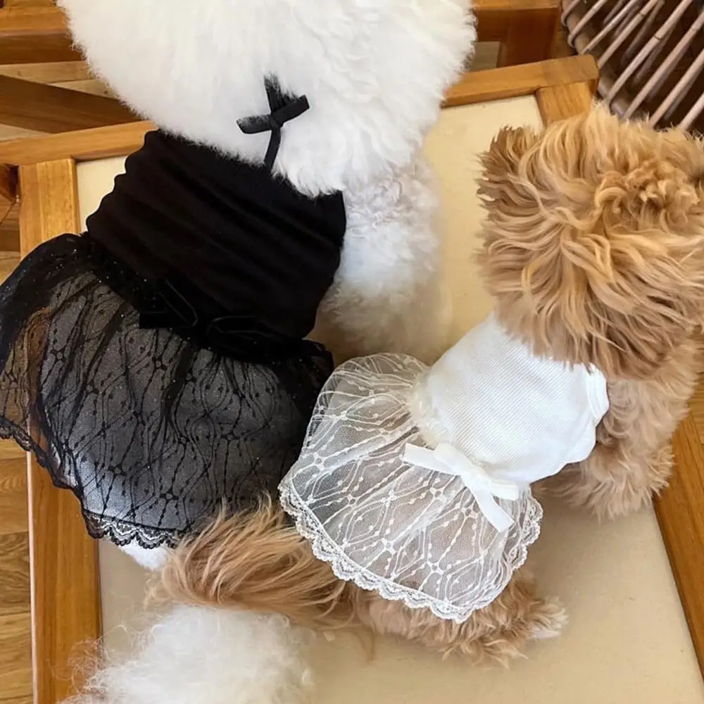 

Pet Lace Strap Princess Lace Strap Skirt Small Dog Cute Spring/Summer Black White Bow Pumpkin Skirt Dog Dresses For Small Dogs
