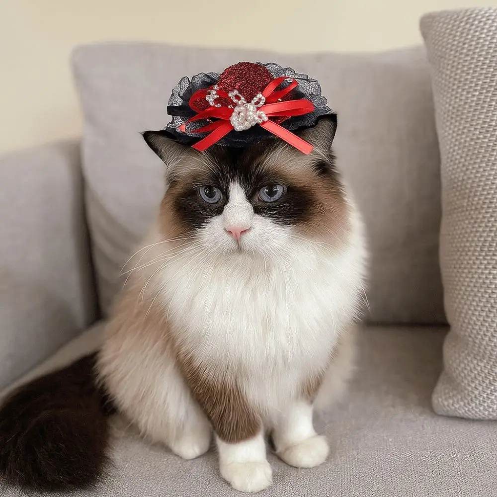 

Pet Accessories Adjustable Pet Halloween Hat Sequin British Style Cat Cosplay Hat Elastic Band Cat Lace Hat Photo Prop