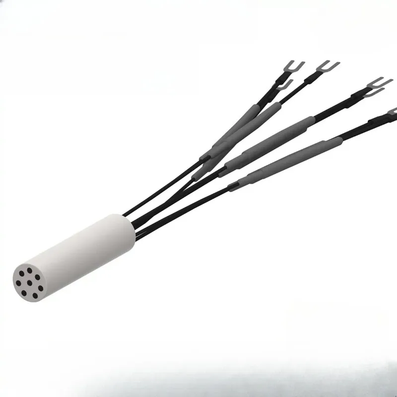 working electrode/array electrode