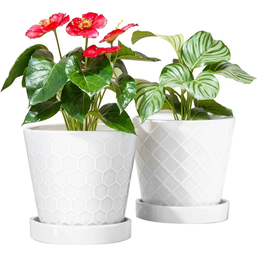 

Plant Pots Indoor 6 inch Ceramic Flower Pot with Drainage Hole and Ceramic Tray Gardening Home Desktop Office Windowsill Dratio