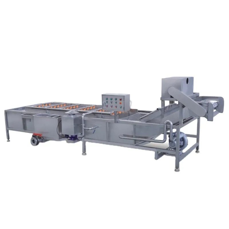 Industrial Fruit Washer apple Washing Machine Commercial Fruit and Vegetable Washing Machine