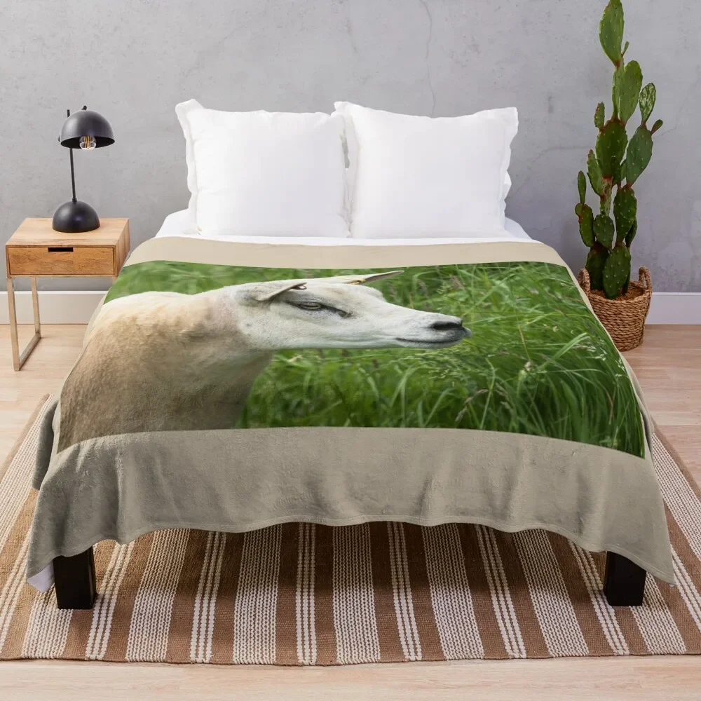 

Texel Sheep Throw Blanket Foldable Soft Warm Blanket for Outdoor Use