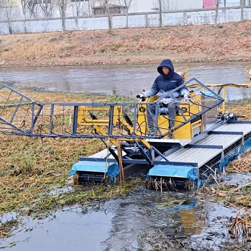 Dredging Robot Water Weed Harvesting Electric Diesel Dredging Car Lake Cleaning Machine for Clearing Rivers Swamps Marshlands