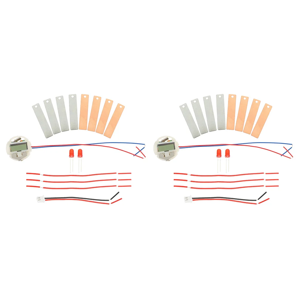 2 Sets Fruit Experiment Kit Clock Prop Self Made Sensory Toy Science Metal Students Child Batteries