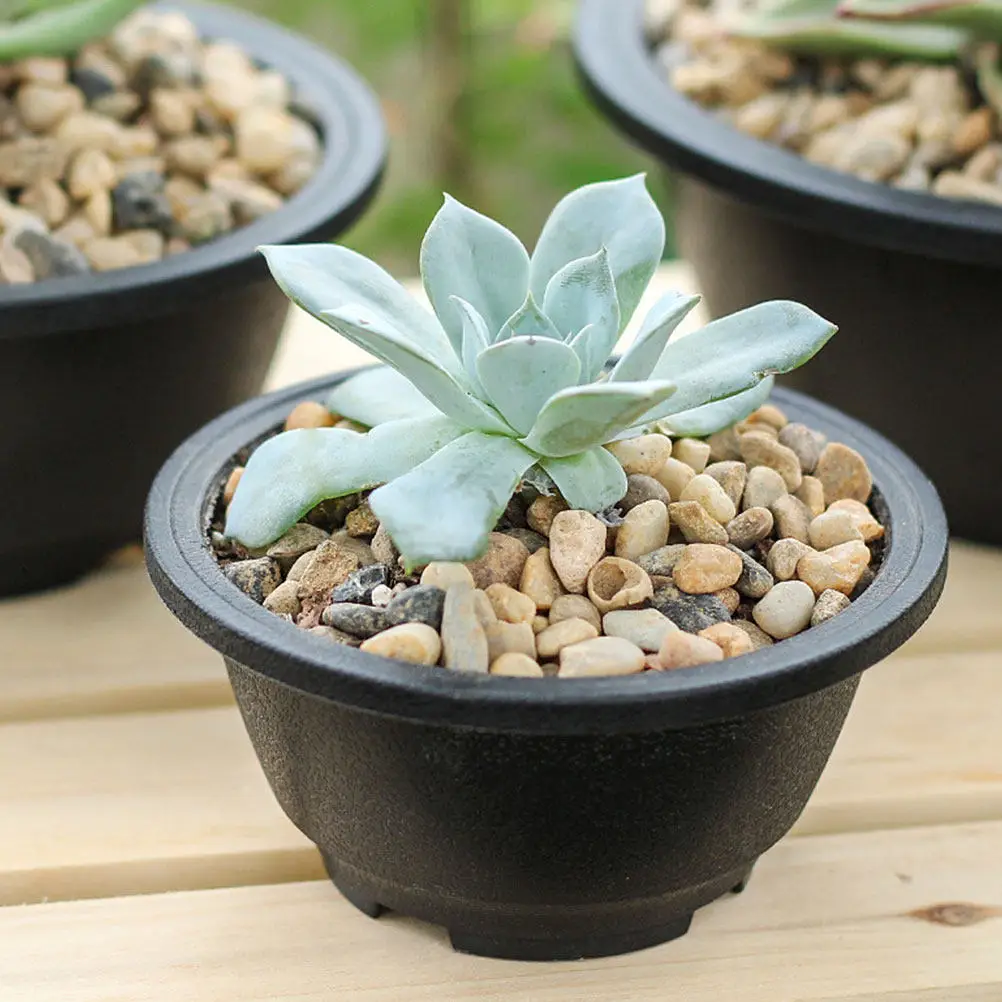 10pcs ABS Round Flower Pots for Indoor Succulents – Desktop, Windowsill, Living Room & Office Planters