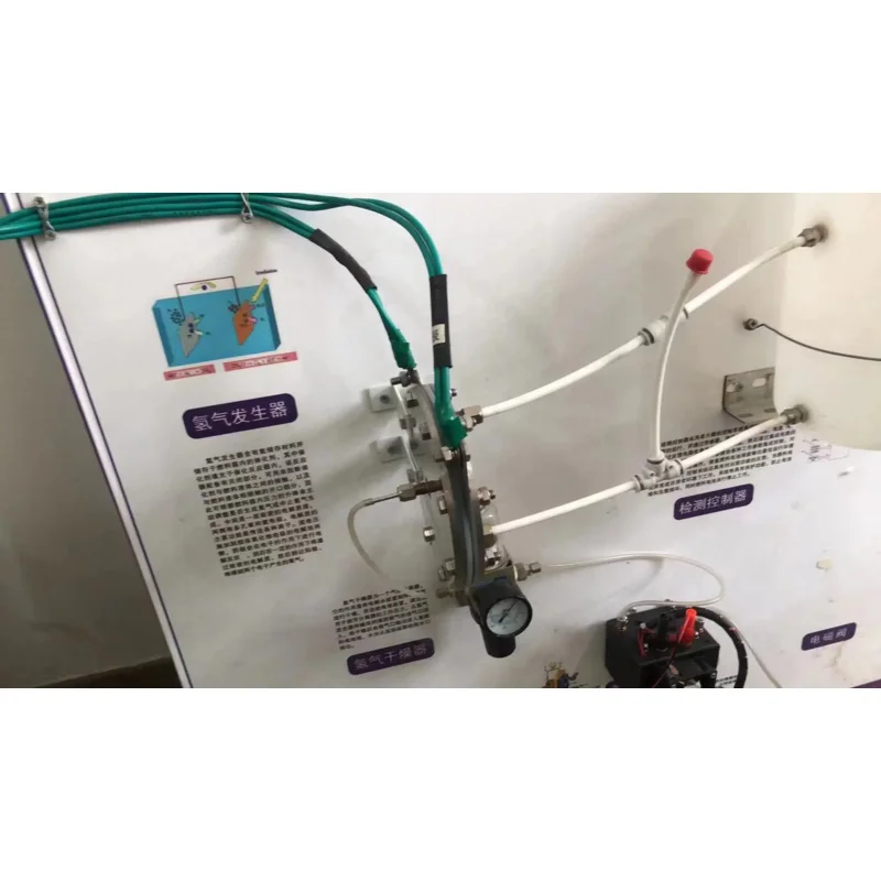 SPE 300 Pure Water Hydrogen Generator Gas Chromatograph Gas Source 300ml Electrolytic Cell Customization