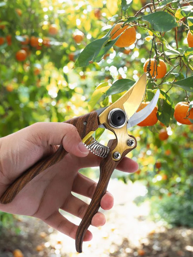 

Garden Pruning Shears Plant Trim Horticulture Hand Pruner Shrub Garden Scissor Orchard Branch Shear Professional Pruning Tool