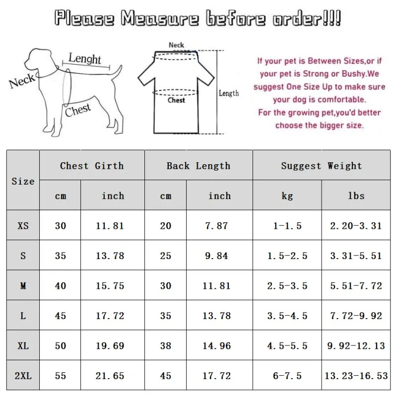 Ropa de verano para perros: chaleco floral, tirantes y disfraz - imagen 5