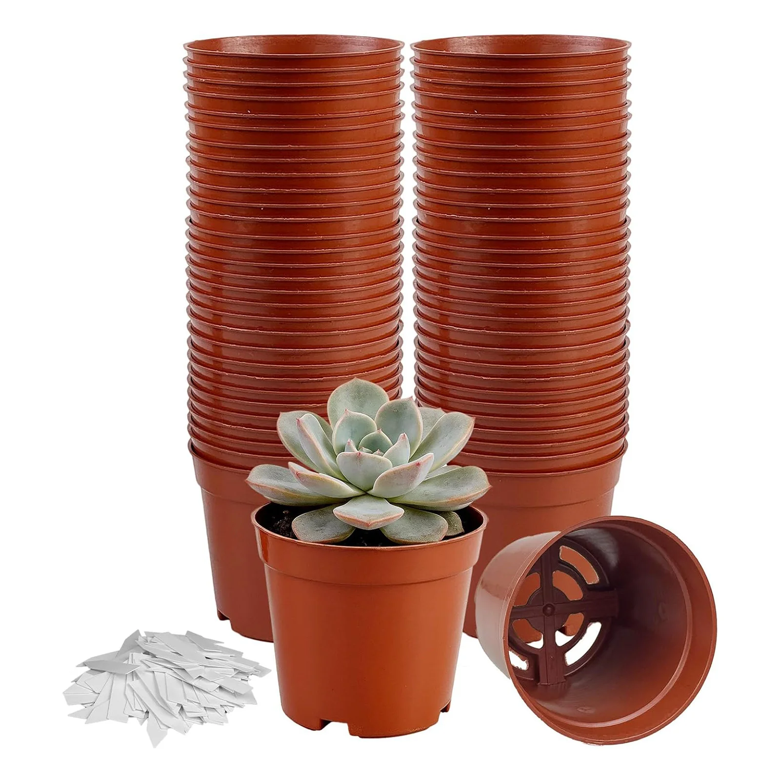 60Pcs Plastic Seedling Pots With Drainage Holes And 100 Waterproof Plant Labels For Gardening