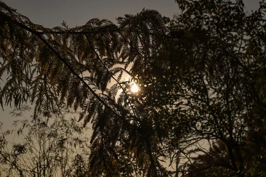 

Комплект из 4 алюминиевых дисков 1.9 дюйма с бедлоком и регулируемым вылетом для радиоуправляемых краулеров 1/10: TRX4, TRX6, SCX10, GEN7, GEN8, D90