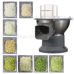 200W Multifunctional Electric Vegetable Cutter Home Vegetable Cutter Good Commercial Automatic Potato Shredder Shredder Slicer