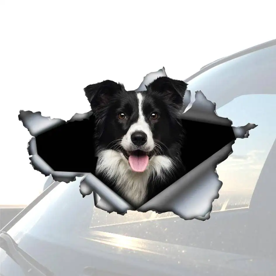 Funny Pet Dog Decal BORDER COLLIE 3D Torn Car Sticker Original Design Car Trunk Bumper Decoration Custom Vinyl Decal