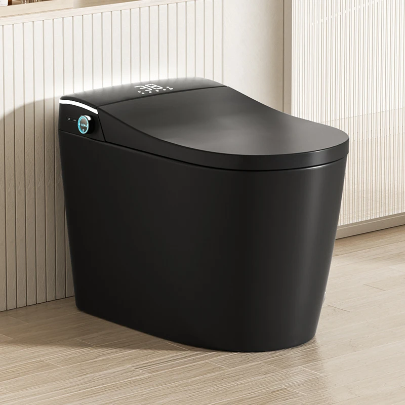 

Modern Bathroom Smart Toilet Black Ceramic Automatic Electronic Control Bidet Wc Smart Toilet