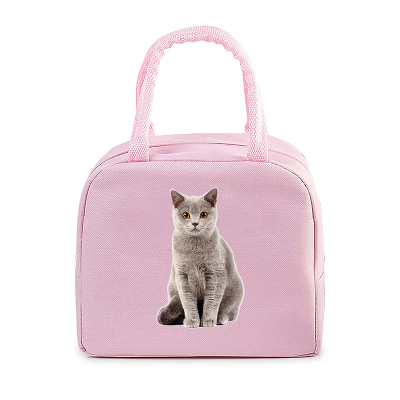 Funny 3D Cats Portable Lunch Bag Durable Office Women Men Thermal Box Cartoon Lunch Handbags Cooler Insulated Food Lunch Bags