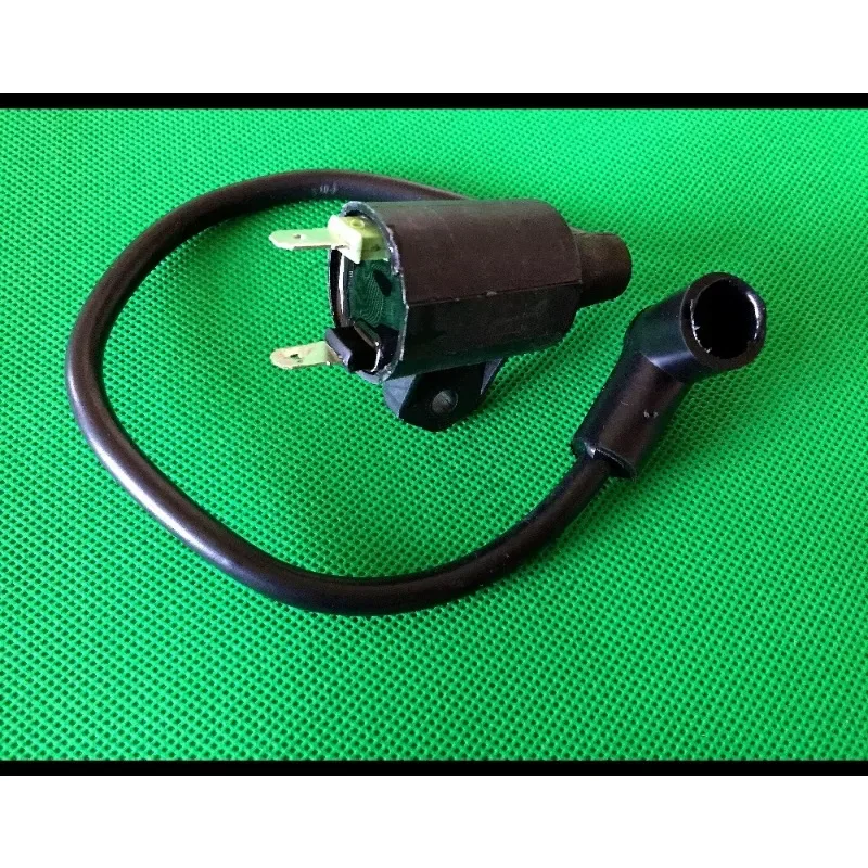 ET950 ET650 IE45 TG950 Magneto Ignition coil Ignitor for 2 Stroke Tiger Generator 450W 650W 800W 950W 1000W spare parts