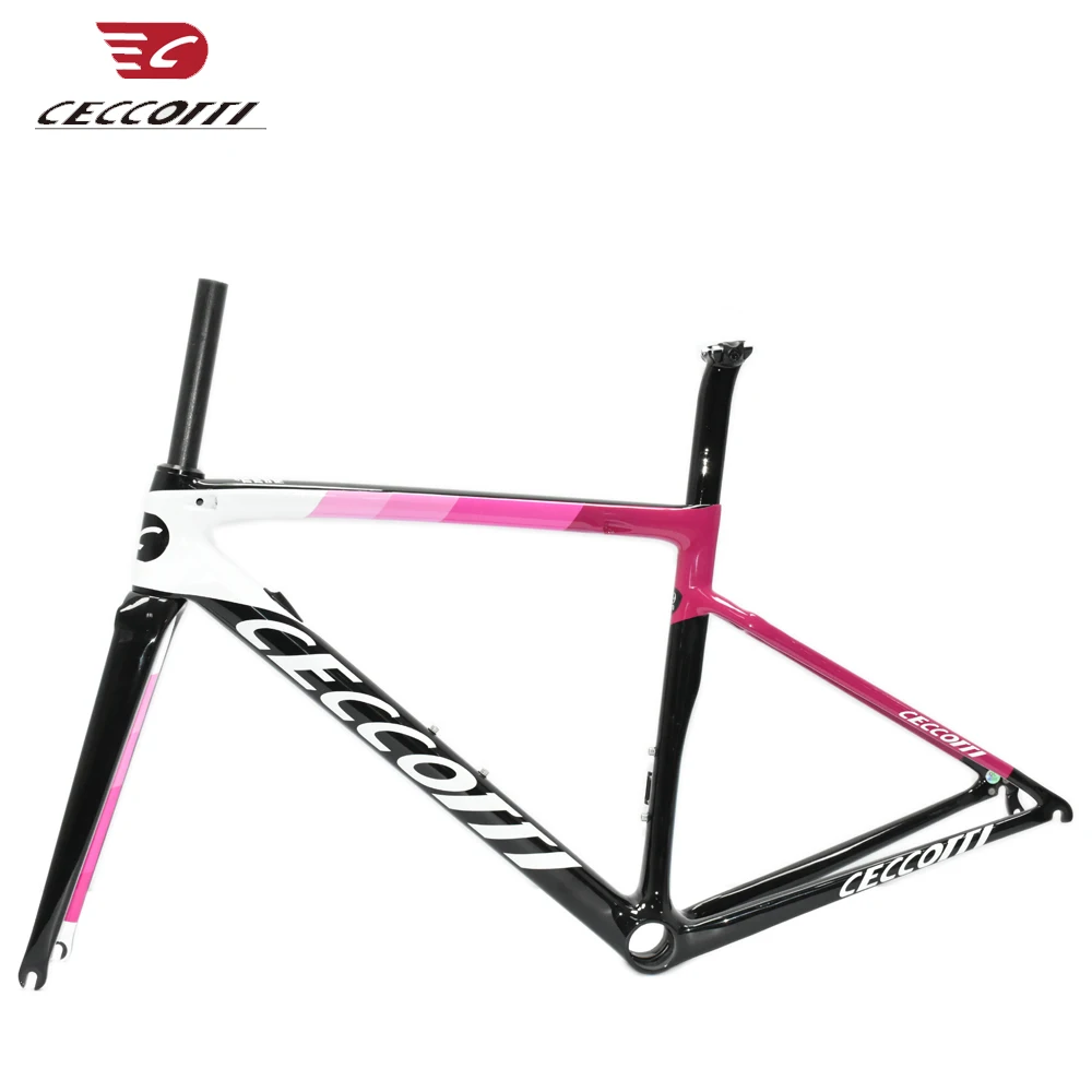 Full Carbon Road Bicycle Frame, T1000, Famous Brand Model, Roadbike, Factory Price Frames