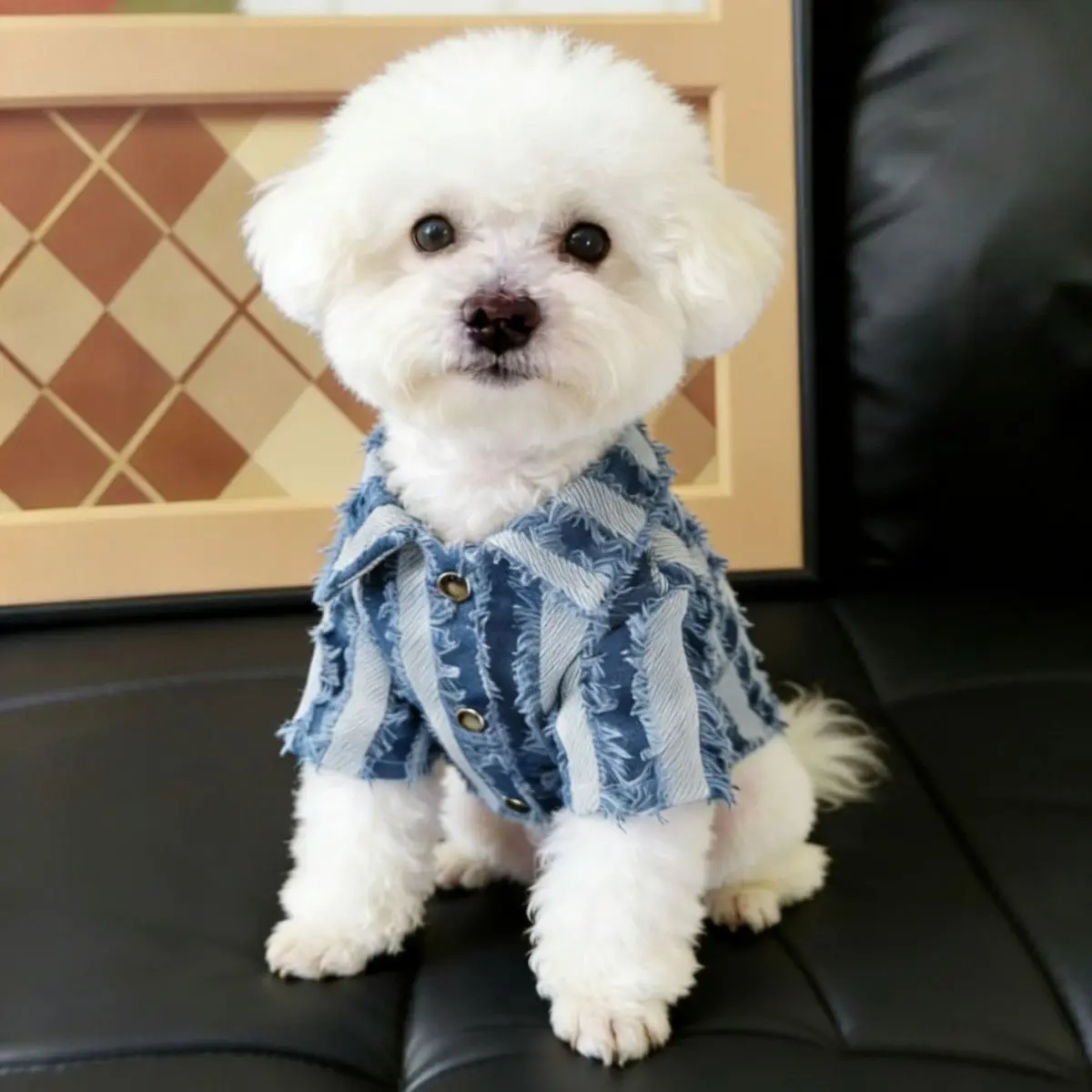 

Pet Soft Denim Dogs Cats Shirt Spring Warm Pet Dog Clothes Fashion Cute Puppy Jacket Shirt Pet Coat Outfits for Small Medium Dog