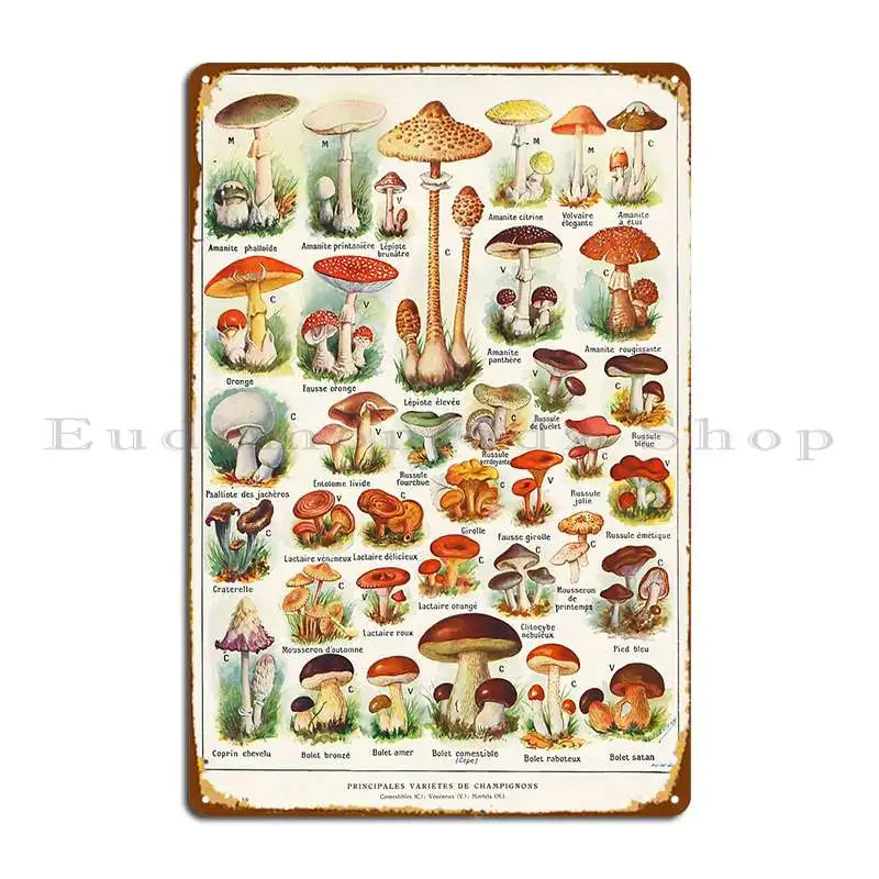 Ilustración de setas Larousse, cartel Vintage francés, placa de Metal, póster personalizado, decoración de pared Vintage para Club, cartel de estaño