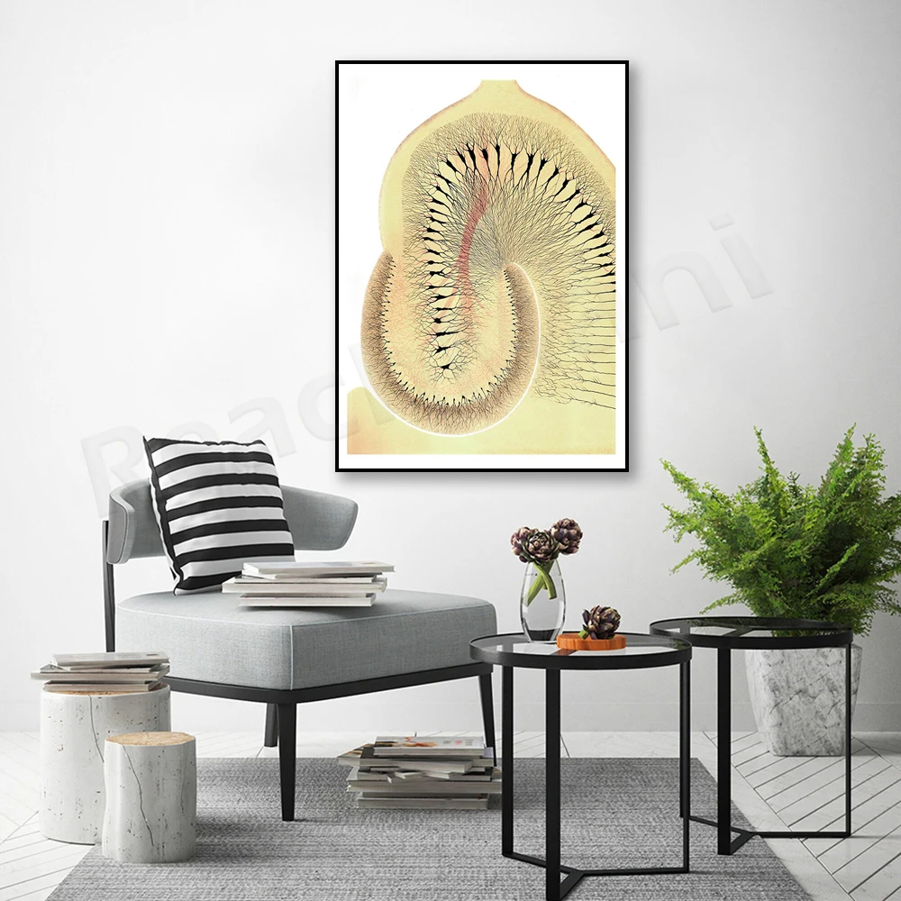 Nervous system drawn by Camilo Gowerk, 1885, Medical Art. Neurologist's office. Vintage Home Decor Poster