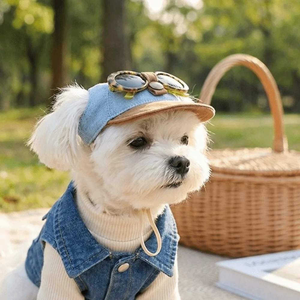 Korean Style Dog Sun Hat with Sunglasses Denim Cap with Ear Holes Dog Sports Hat Adjustable Dog Visor Hats Photo Props