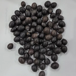 بذور اللوتس الأحمر الأبيض الوردي Nelumbo Nucifera المنزل البخور المواد الخام DIY أفضل 10 طقم ماريجوانا وردية مبيعا - رقم 9