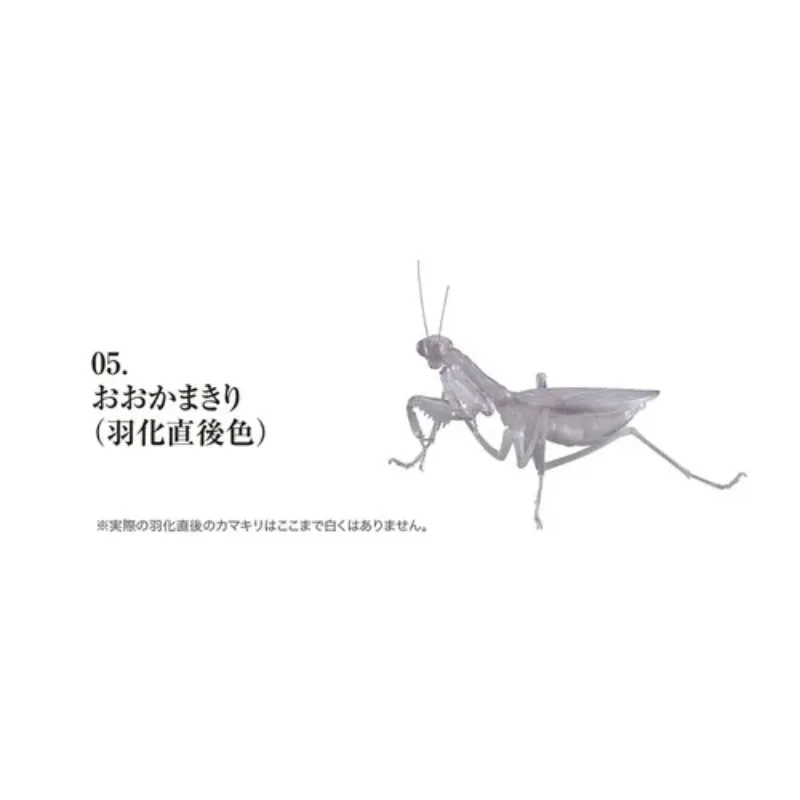 BANDAI Japan Gashapon Figure Anime Cute Biology Map Orchid Mantis Insect Model Kawaii Capsule Toys Figurine Assembly Model