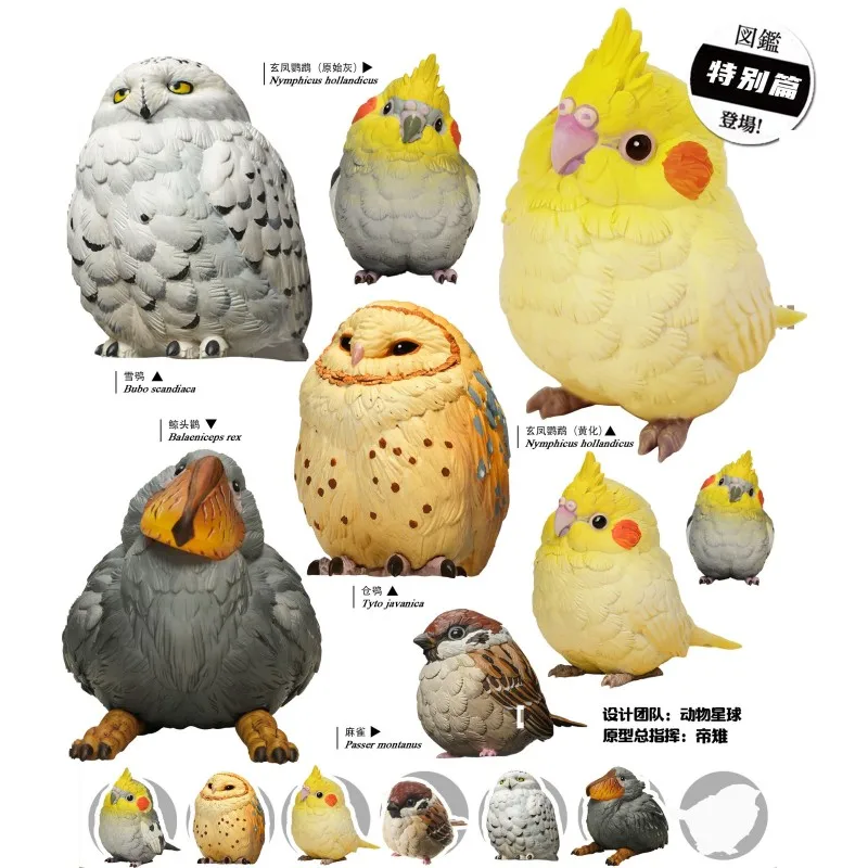 Fat Bird Blind Box Heart Wide Body Xuan Feng Parrot Owl Cute Decoration Fashion Play Animals Small Children Cute Gift Guess Bag