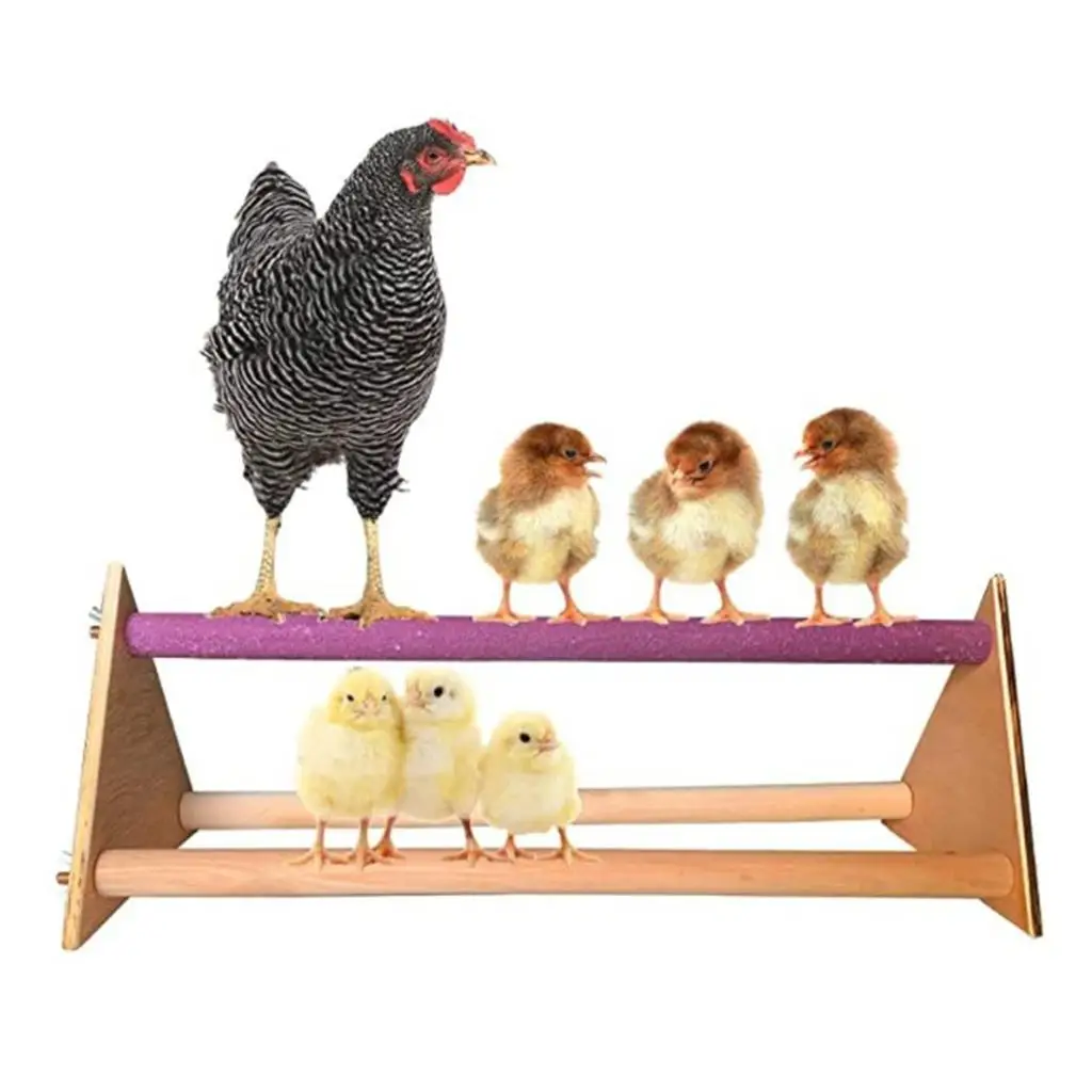 Large Parrot Swing Ladder Wooden Perch Stand for Birds Chicken Coop Hen Cage Hanging Toy Climbing Exercise Fun