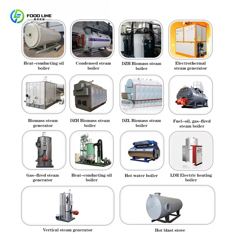 0.5-10 Ton Horizontal Biomass Steam Generator High Efficiency Auto Control 2 Years Warranty For Laundry Food Industry