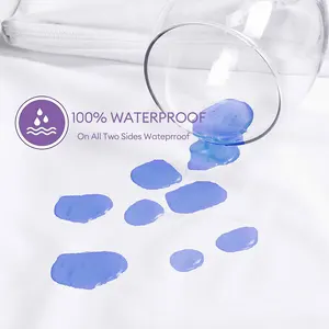 1pc Soft Pillow Protector mit Reißverschlusskissenabdeckungswanzen und Anti -Tricks 10 Hauptverkäufe Antiacaro -Kissenbedeckung - №10