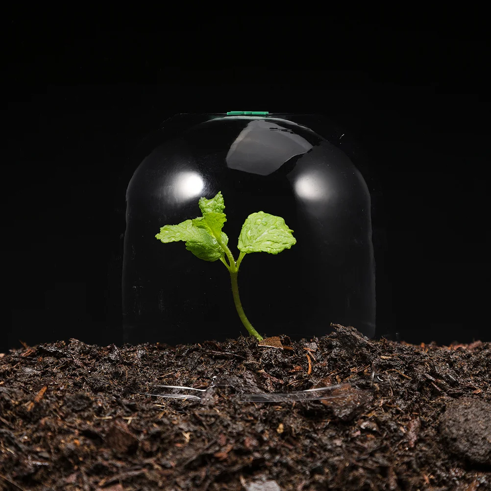 

3Pcs Transparent Garden Cloche Mini Greenhouse Dome Seedling Nursery Cover Plant Frost Protection Outdoor Plant Dome Shelter