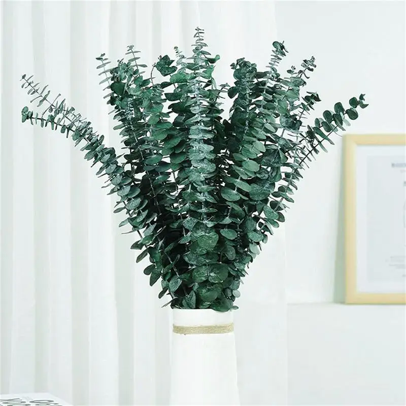 10PCS Real Eucalyptus Leaves D - đánh giá và giá Eucalyptus Preserved