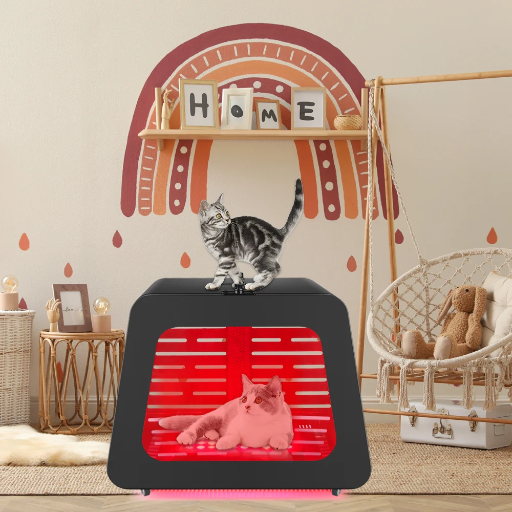 

AZURE OEM ODM 600x500mm PDT Infared Dog Cat Pet Crate Red Light Therapy Carrier Kennel Pet Cage Health Device Bed House