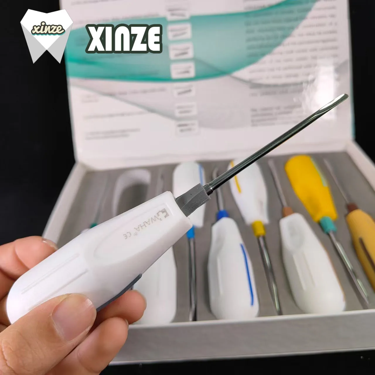 9pcs/set Stainless Steel Dental Luxating Lift Curved Root Elevator Dentistry Surgical Screwdriver