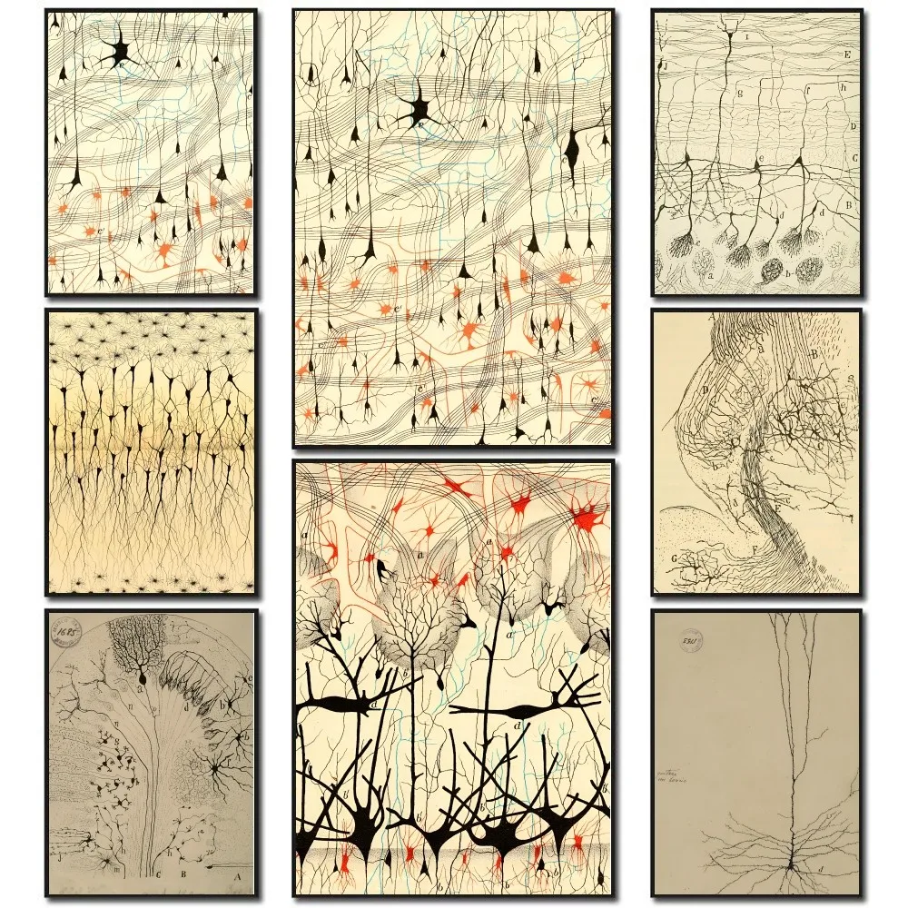 1PC Santiago Ramon Y Cajal Neuron Drawing Poster Stickers Living Room Bedroom Entrance Cafe Wall Art Decoration Painting  Dec