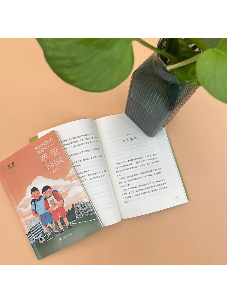 كتاب-Winshare The Clumsy Iron Brother Jia Li's Childhood