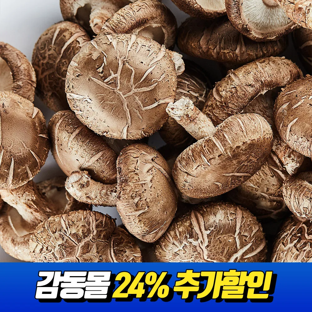 Hongos Shiitake domésticos certificación Gap 1kg ★ La opción de 500 g está fuera de stock.