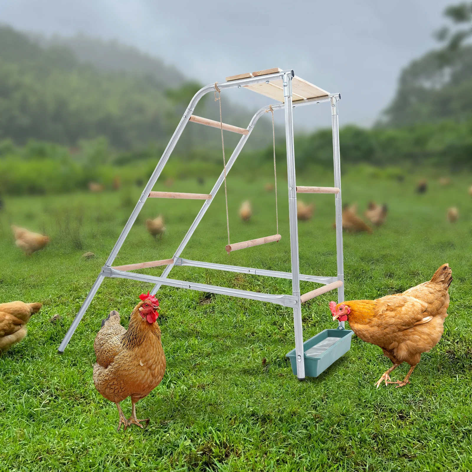 Perchoir à poulets, échelle à poulets en acier galvanisé avec perchoirs en bois d'eucalyptus, perchoir à poulets détachable pour poulailler
