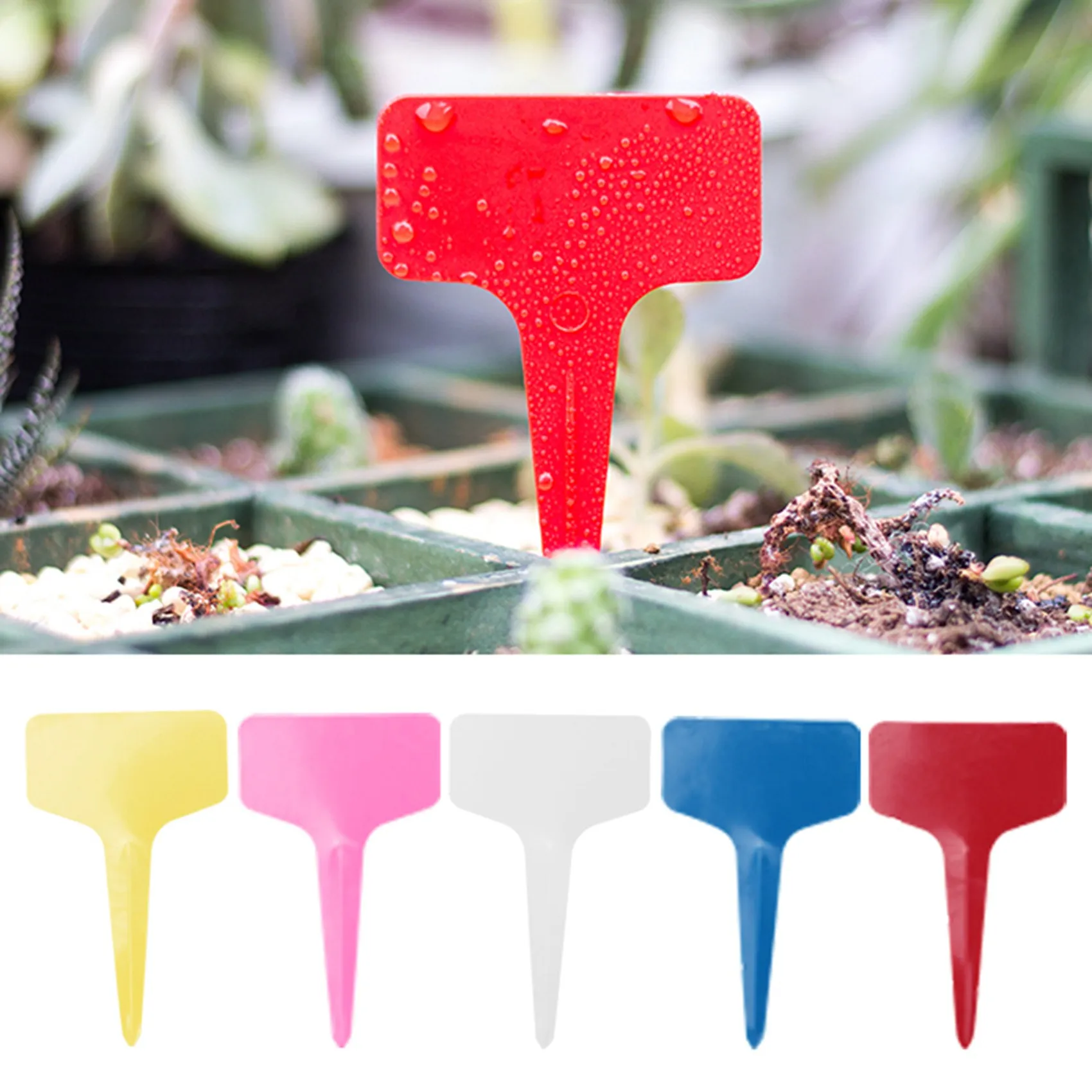 100Pcs Plant Labels Multicolor Waterproof Plastic Plant Tags T-Type Nursery Garden Labels 6 X10cm 5 Colors