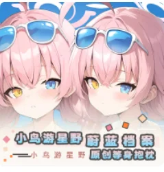 Capa de Travesseiro Corporal Anime japonês, Arquivo Azul, Dakimakura Sexy, Abraçando Capa de Almofada, Otaku Loli japonês, YZZJ, Takanashi Hoshino