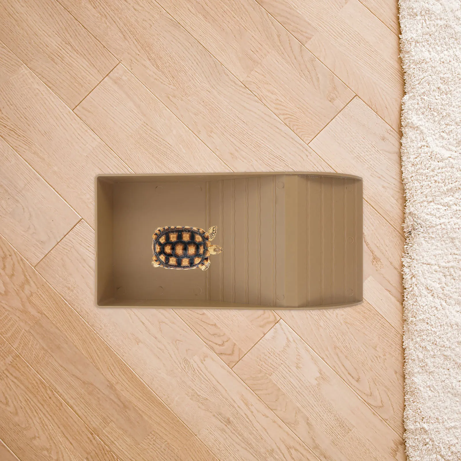 

Reptile Bathing Tub Water Dish Turtle Tanks Tortoise Soaking Tub Reptile Habitat Accessory Turtle Pool Tortoise Feeding Dish