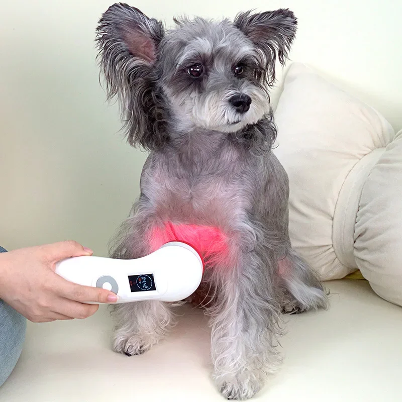 

Equine Cold Therapy Class 3B Veterinary Therapeutic Canine Therapy Instrument Dogs Class 4 Device