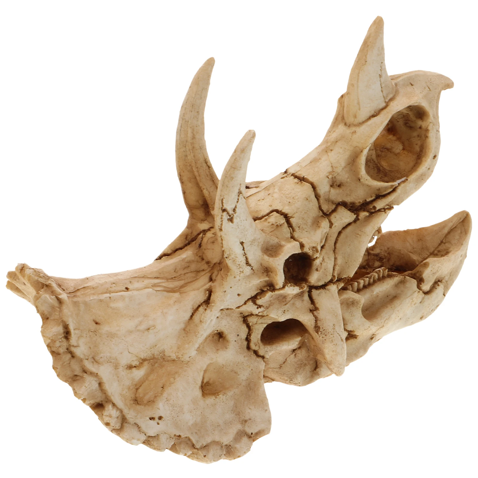 

Simulated Dinosaur Skull Resin Cave Hideout for Aquarium Reptile Tank Decoration Unique Fish Hideaway Shrimp Hide Places Geckos