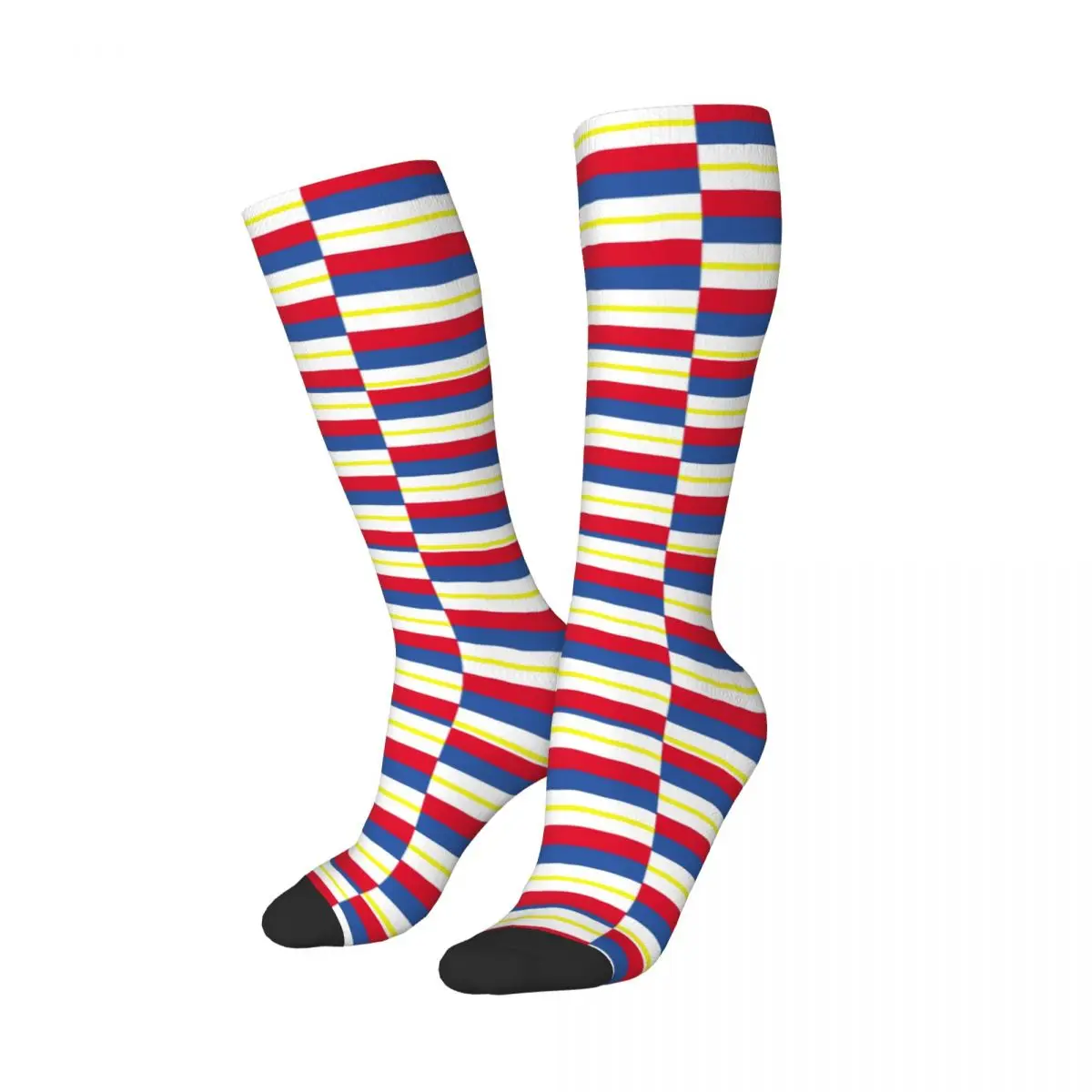 Flag Of Mecklenburg-Vorpommern (Germany) Socks Harajuku Stockings All Season Long Socks Accessories for Man's Woman's Gifts