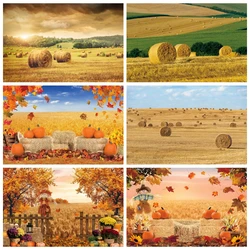 Autumn Sunshine Wheat Fields Backdrop for Photography Fall Farm Harvest Pumpkin Sunflower Baby Portrait Photo Background Studio