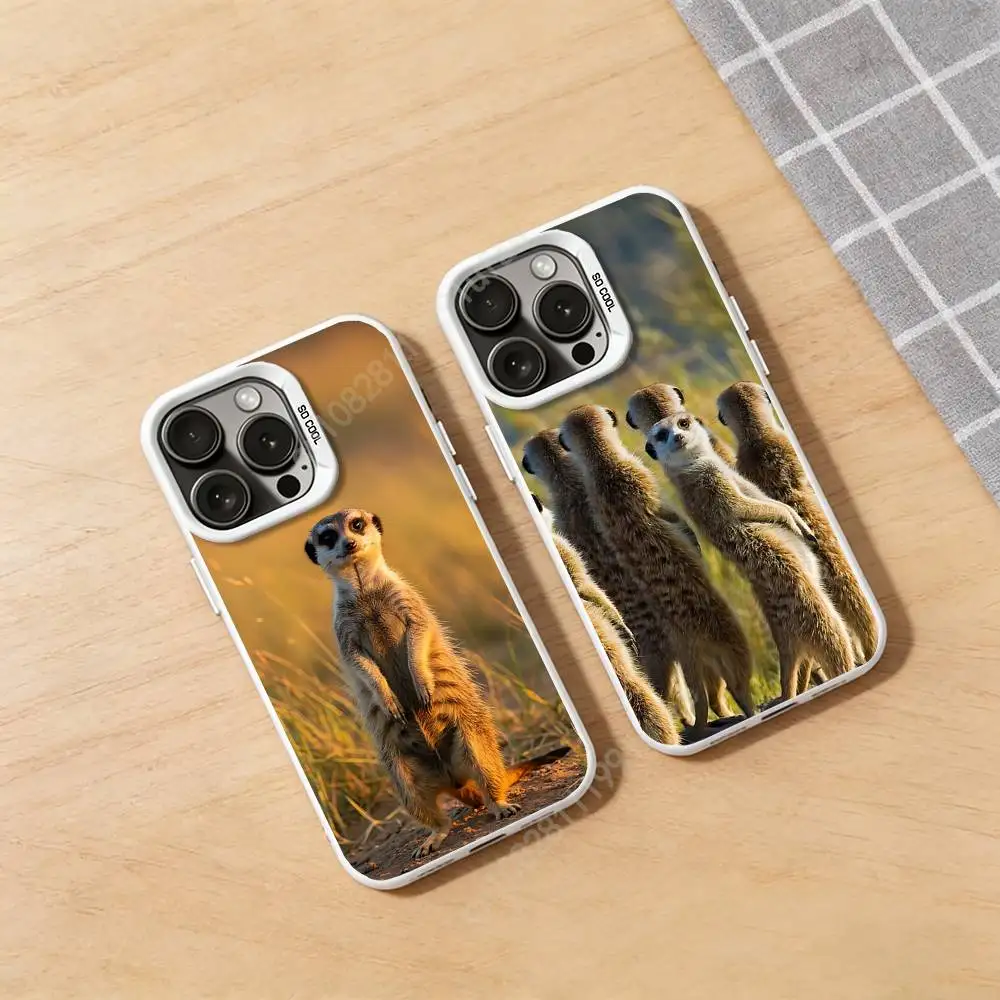 

Funny Standing Meerkats Phone Case for iPhone 17 16 Pro Plus 15 14 13 Max Mini 12 11 X XS Air Fashion Bumper